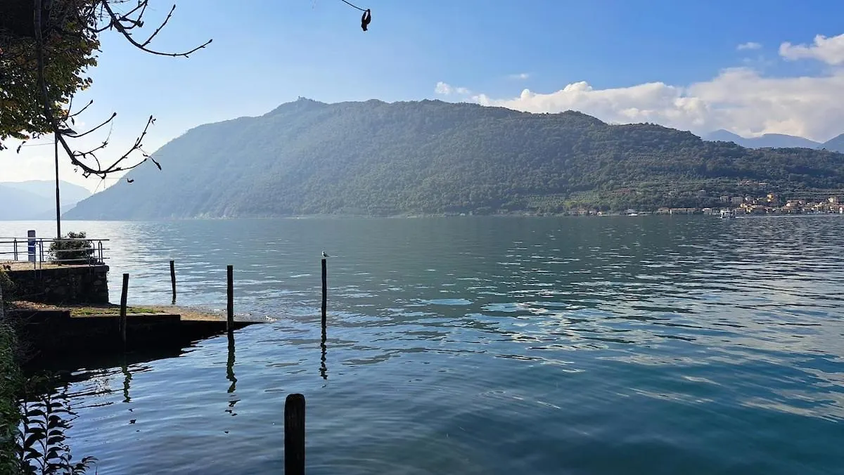 Lakely Nest Sale Marasino Italien